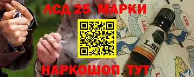 гидра Кандалакша