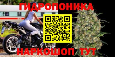 ГАЛЛЮЦИНОГЕННЫЕ ГРИБЫ Изобильный